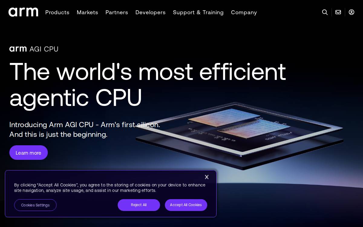 DreamBig Semiconductor website preview