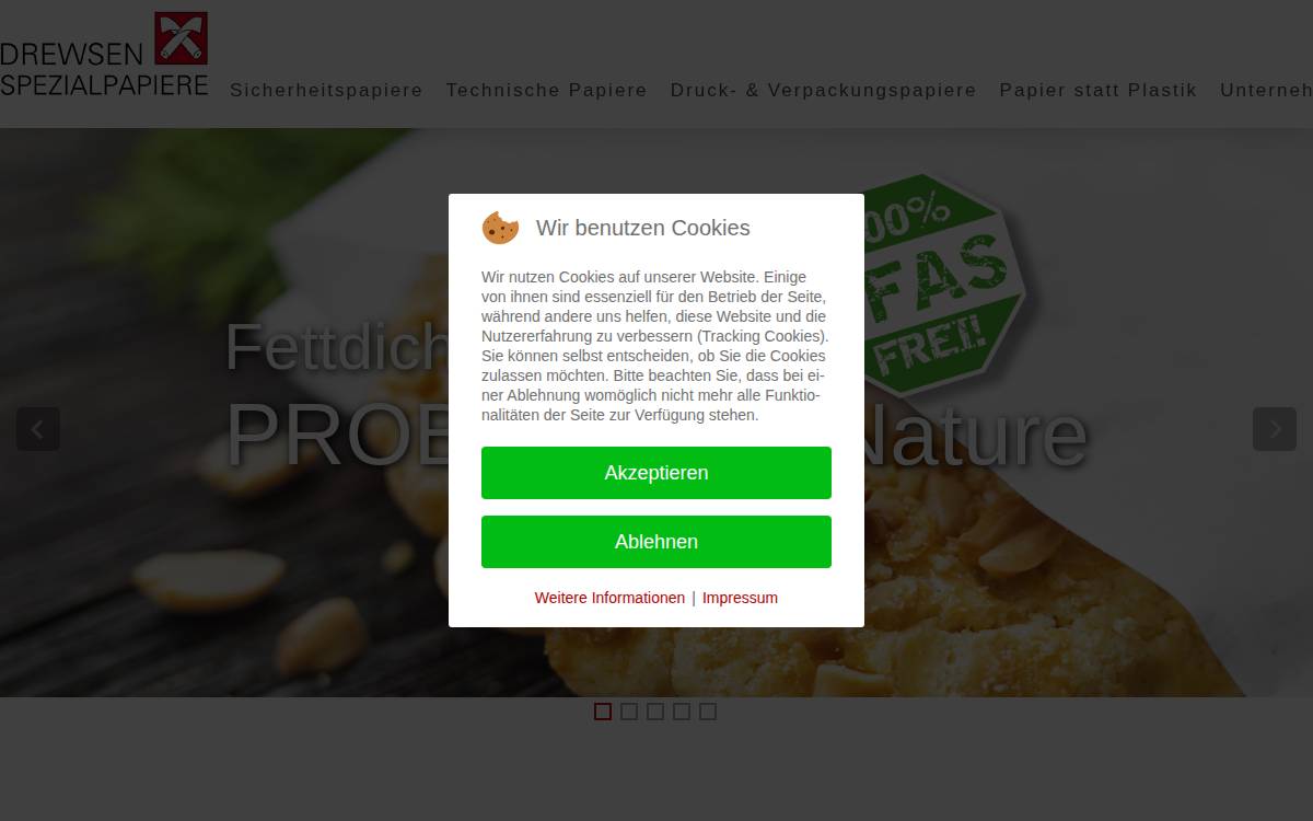 Drewsen website preview