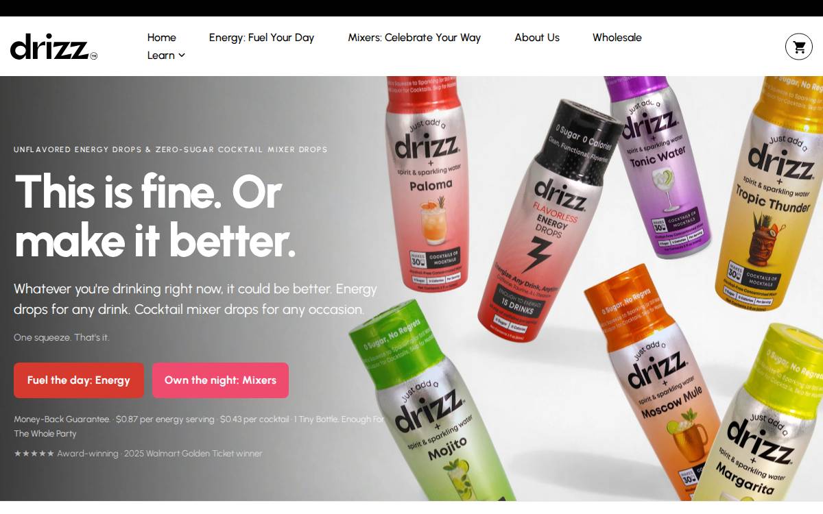 Drizz website preview