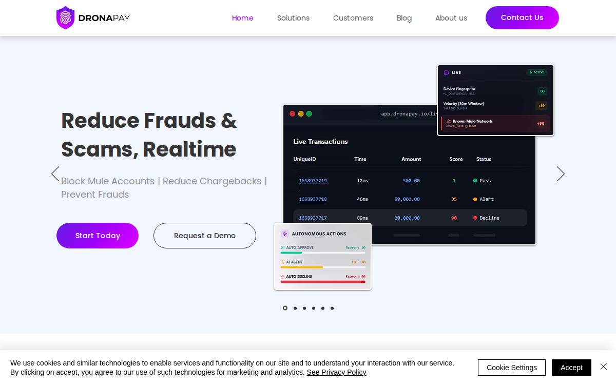 Drona Pay website preview