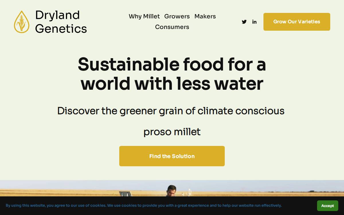 Dryland Genetics website preview