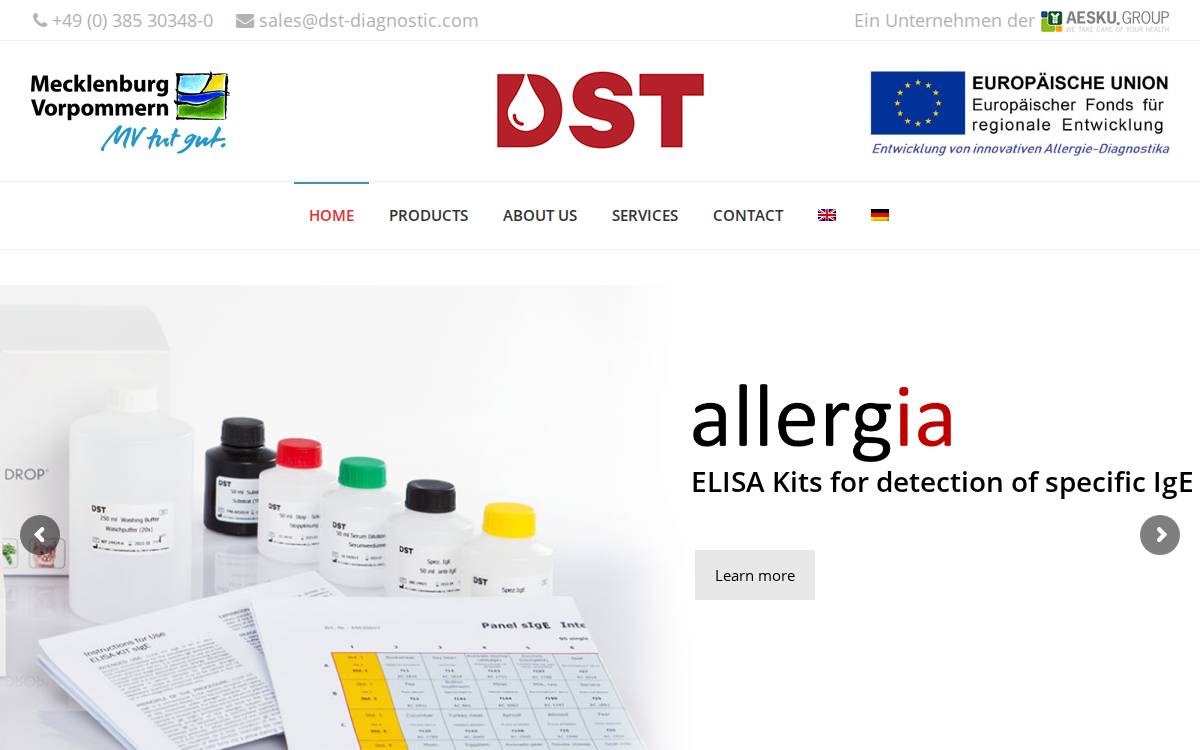 Dst Diagnostic website preview