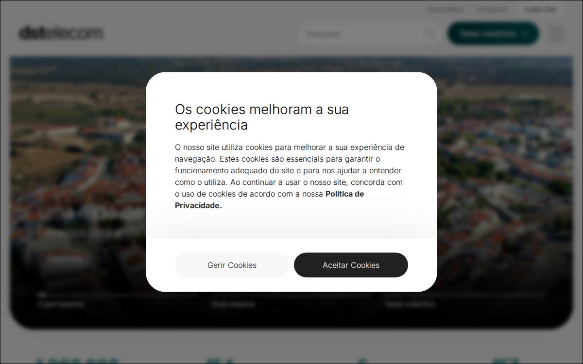 dstelecom website preview