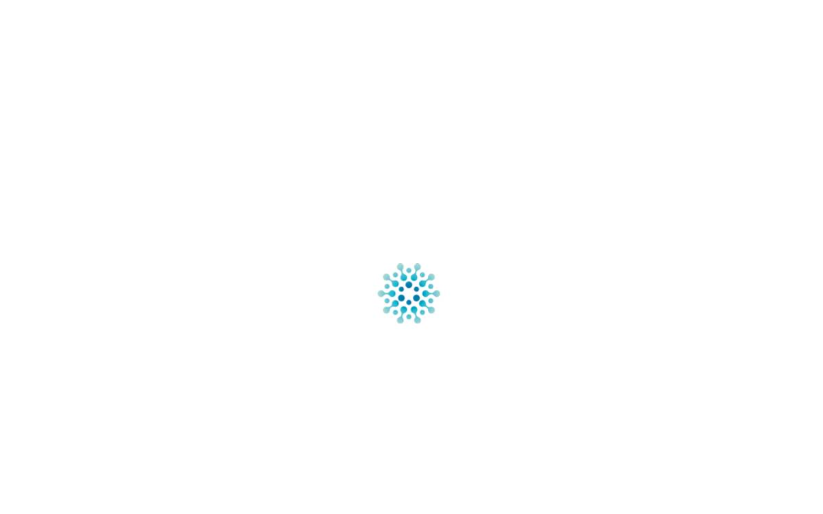 Dstp website preview