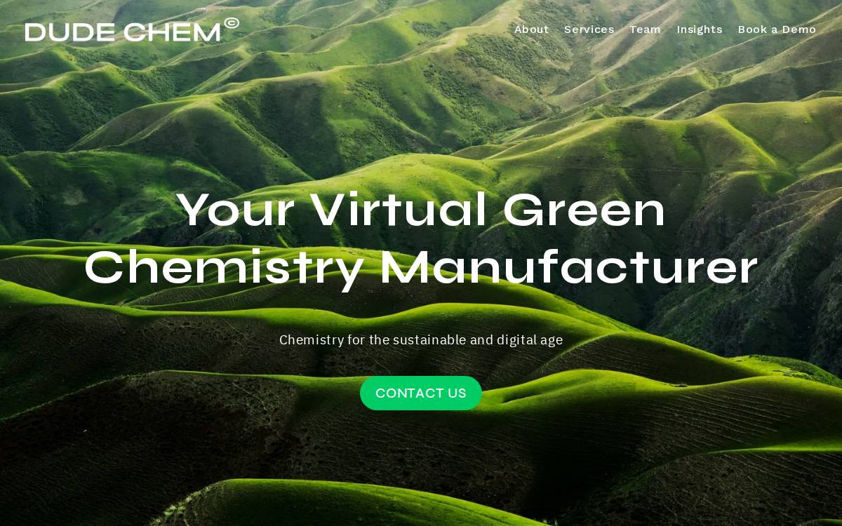 DuDe Chem website preview