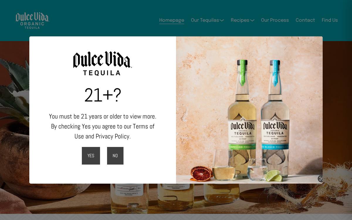 Dulce Vida Spirits website preview