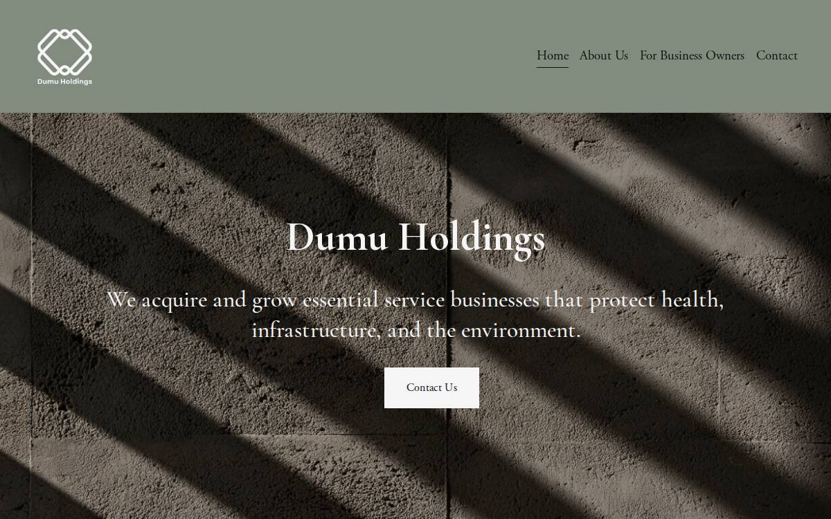 Dumu Holdings website preview