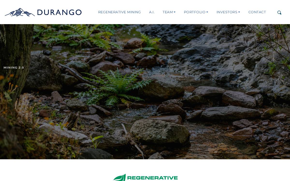 Durango Gold website preview