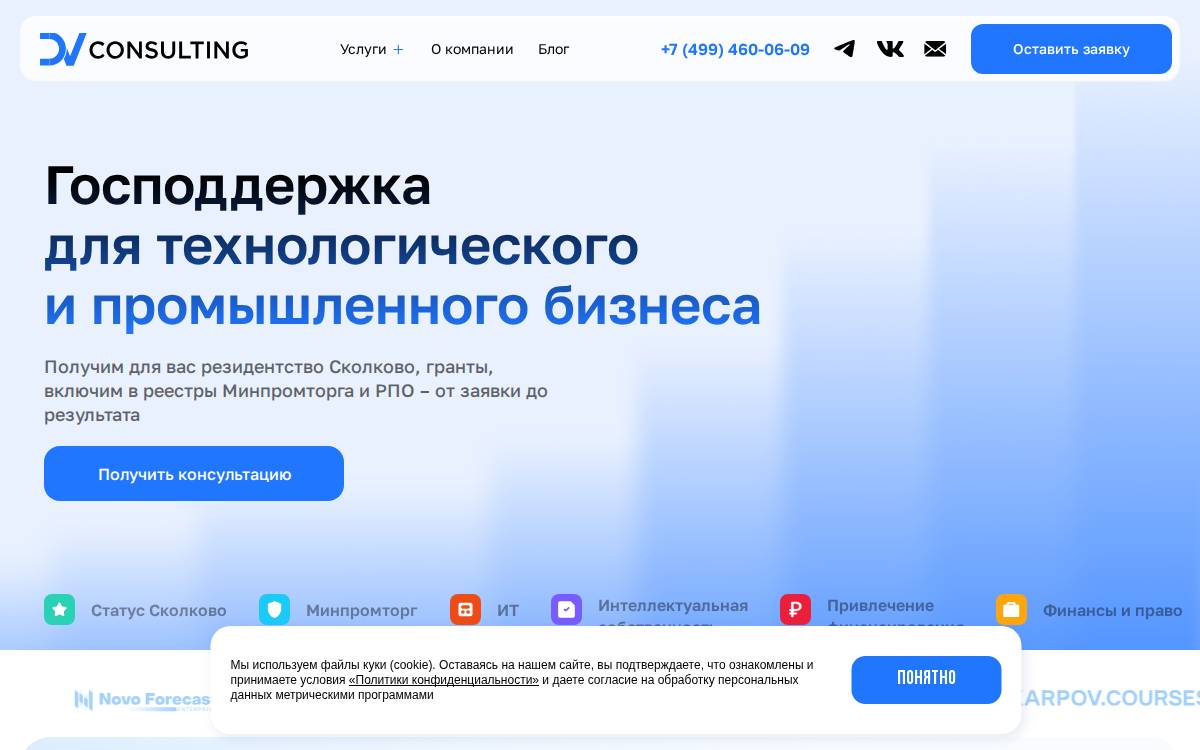 Dv Consulting website preview
