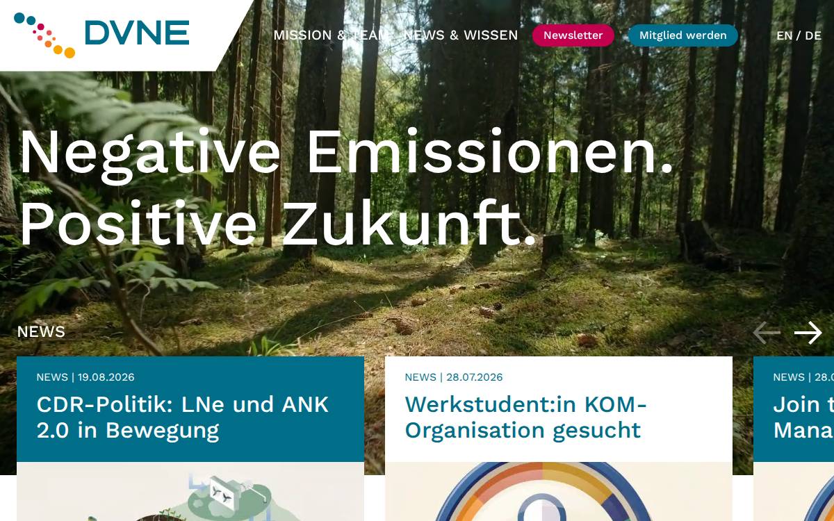 dvne website preview