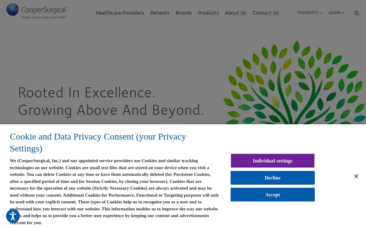 dxNow website preview