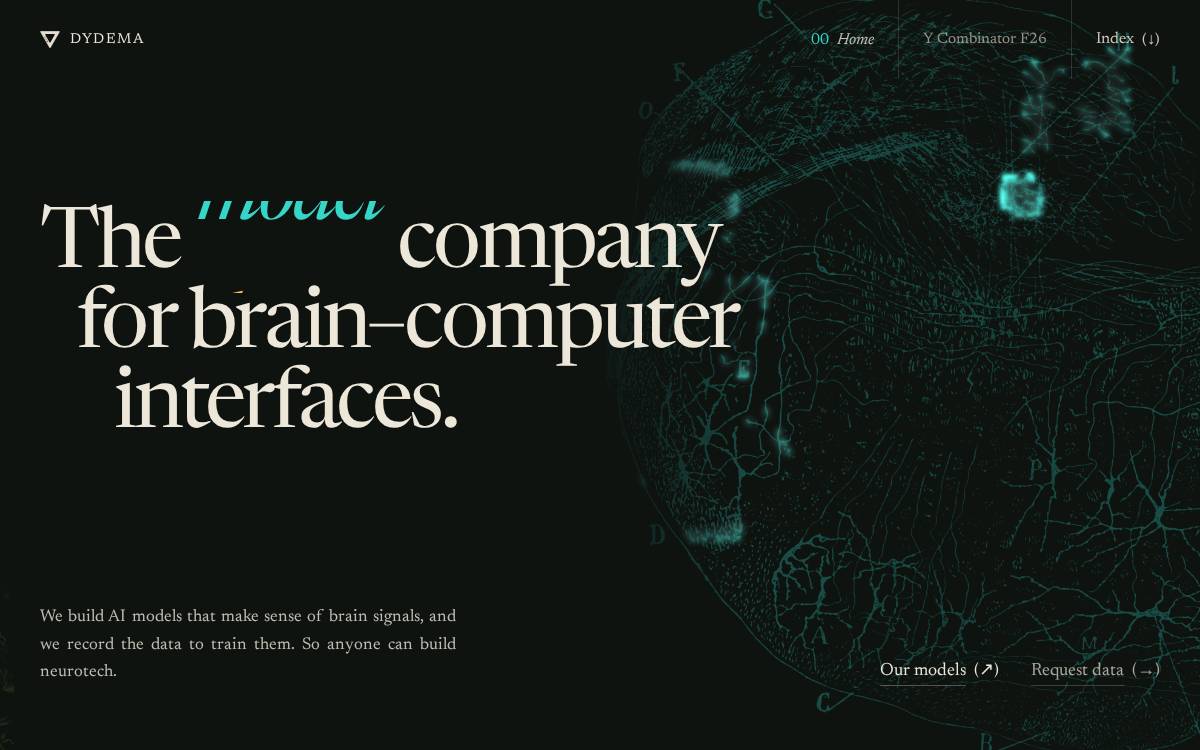 Dydema website preview