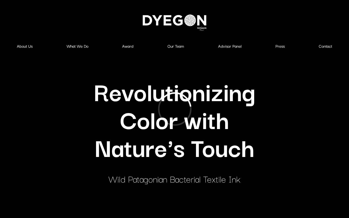 Dyegon website preview
