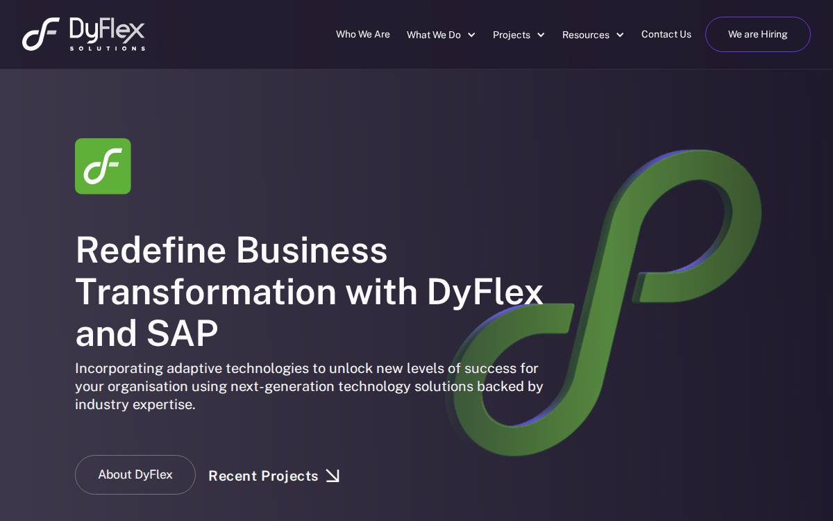 Dyflex website preview