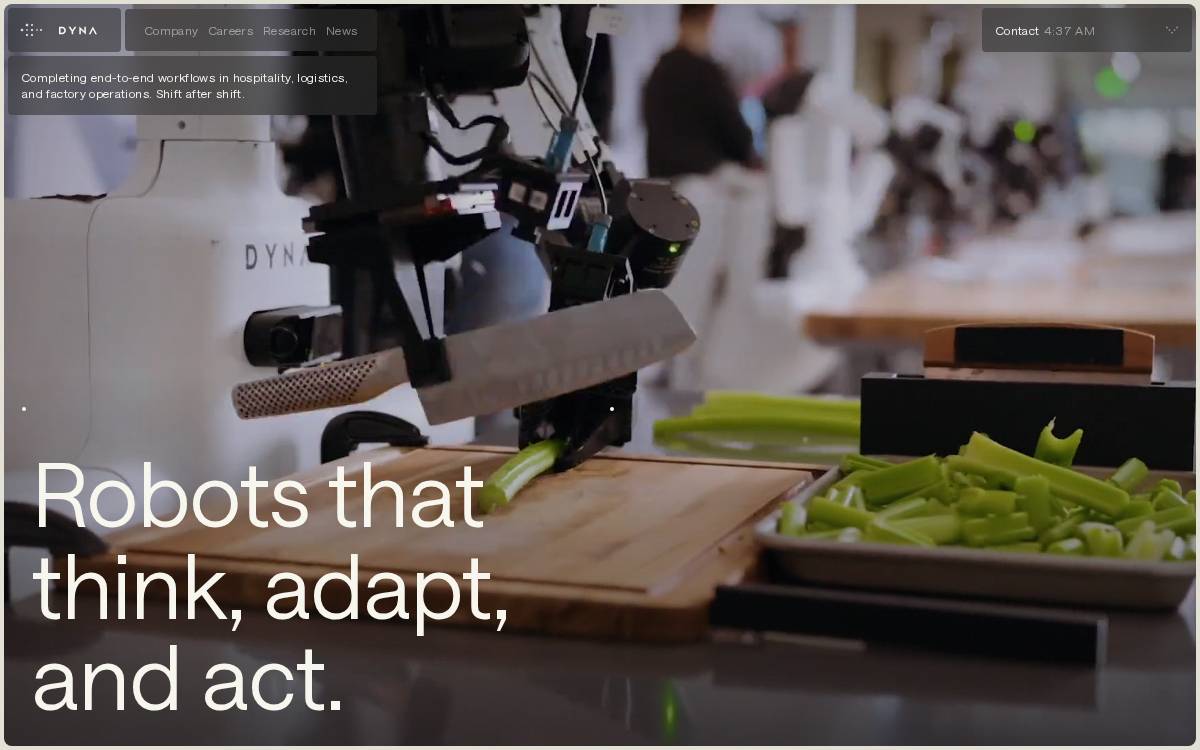 Dyna Robotics website preview