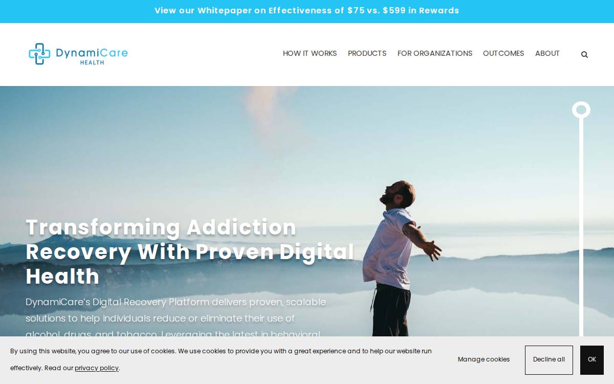 DynamiCare website preview