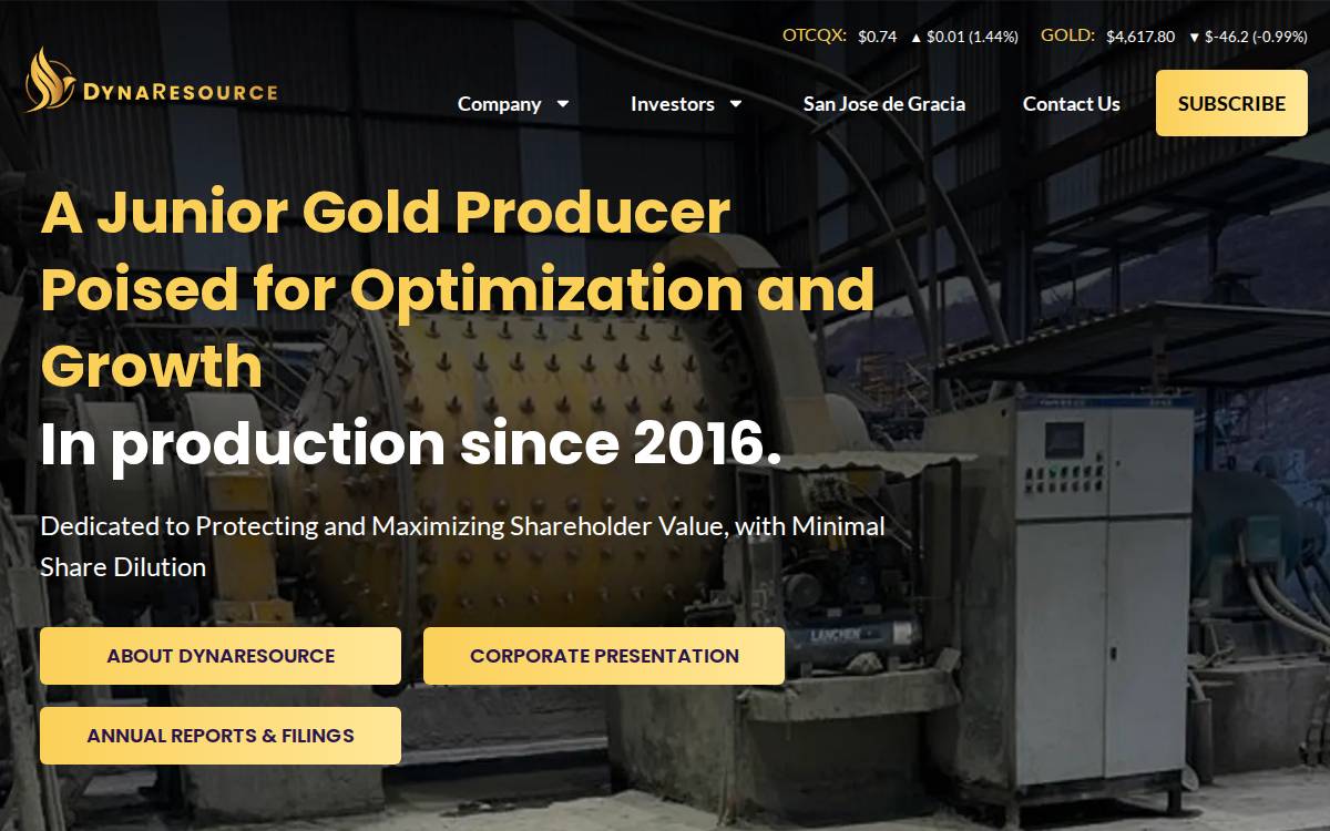 Dynaresource website preview