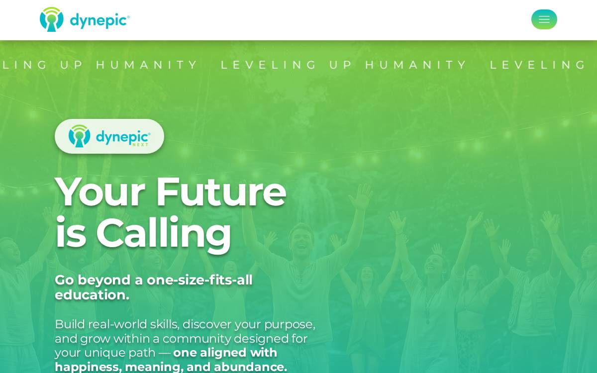 Dynepic website preview