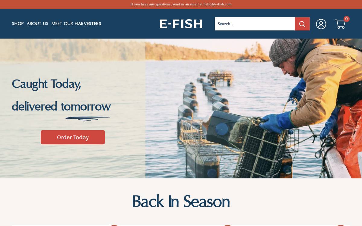 E-Fish website preview