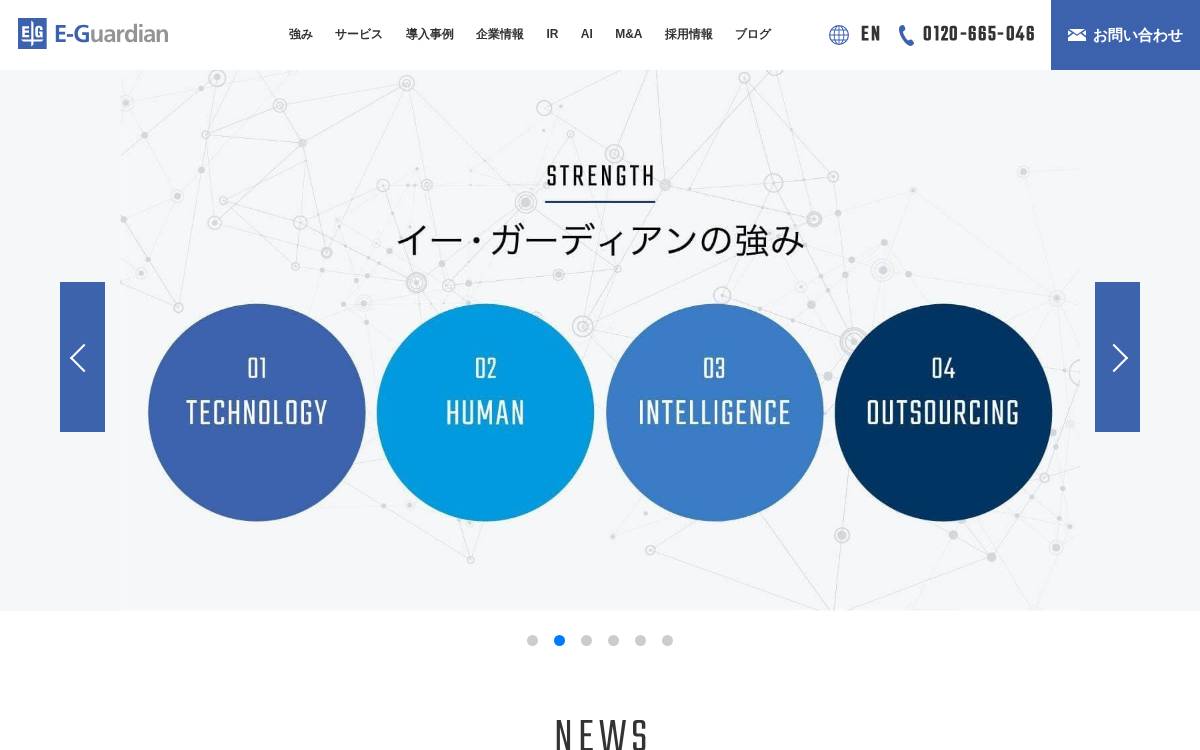 E-Guardian 2010 website preview