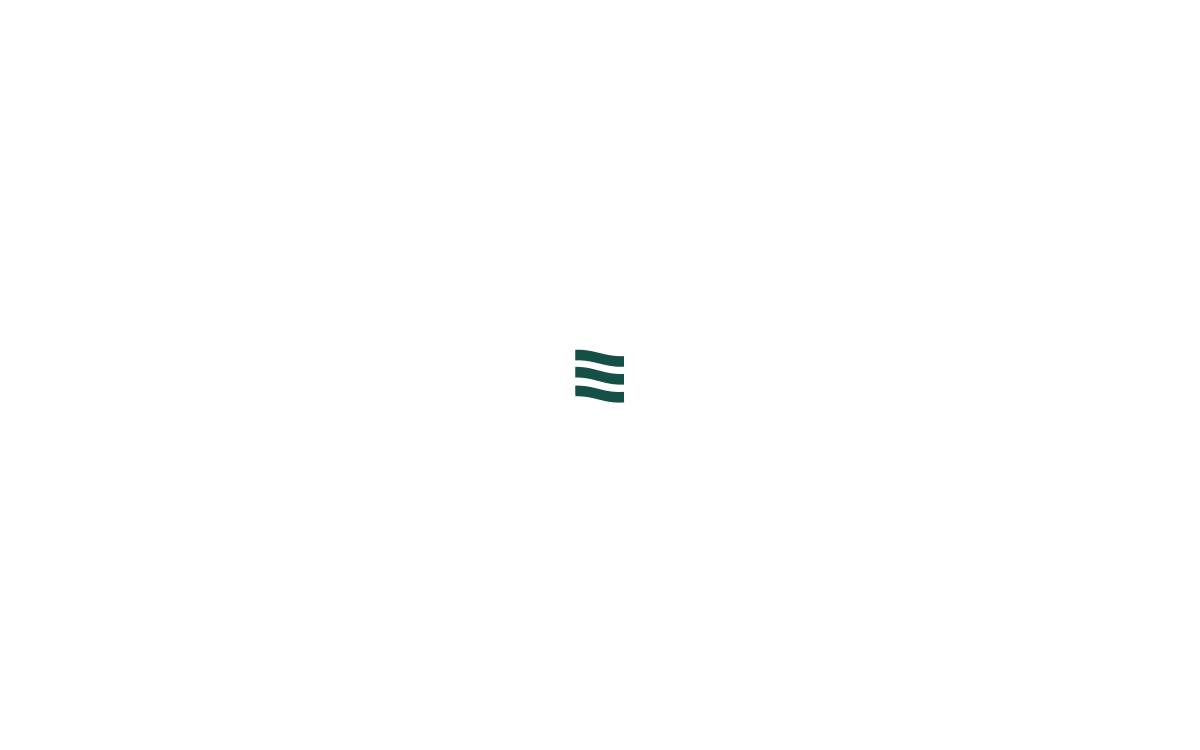 Eazipay Inc. website preview