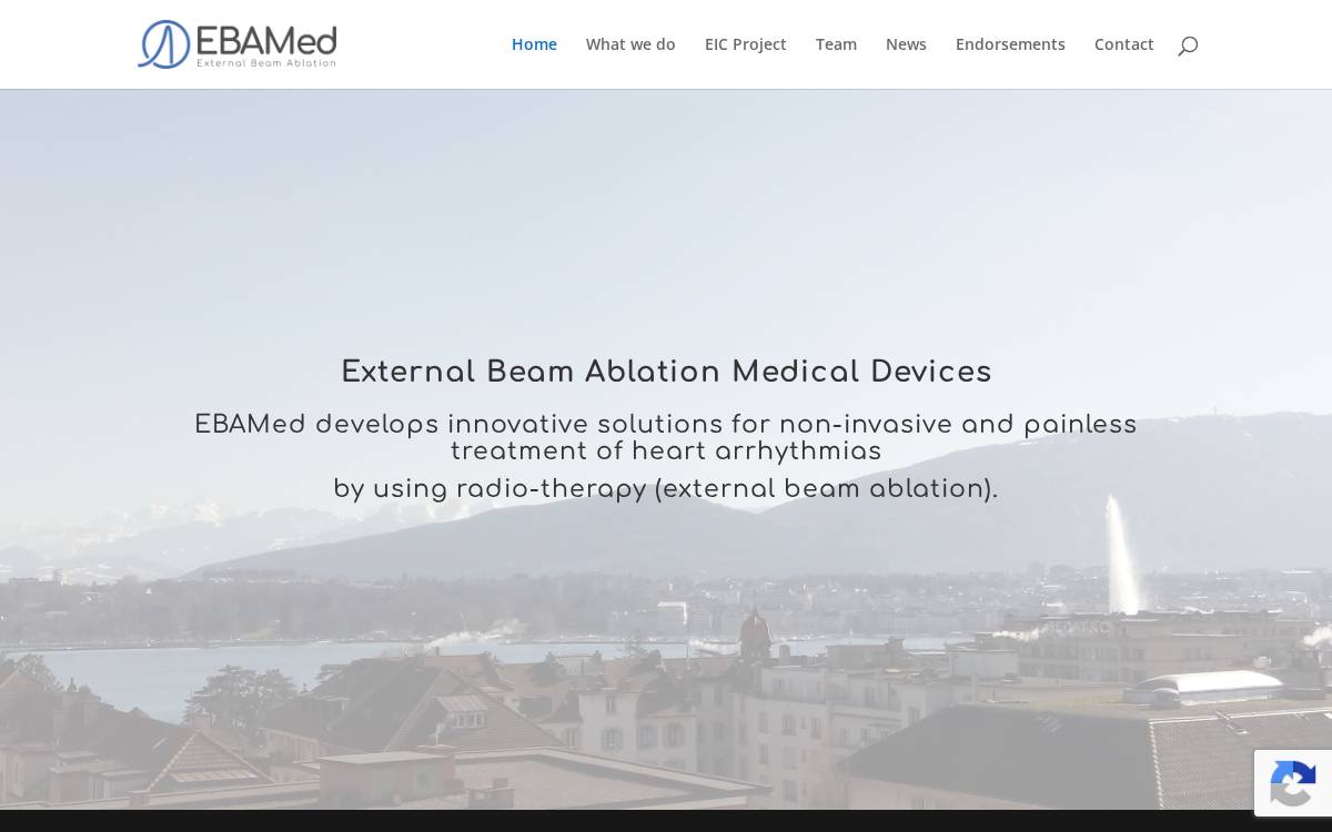 Ebamed website preview