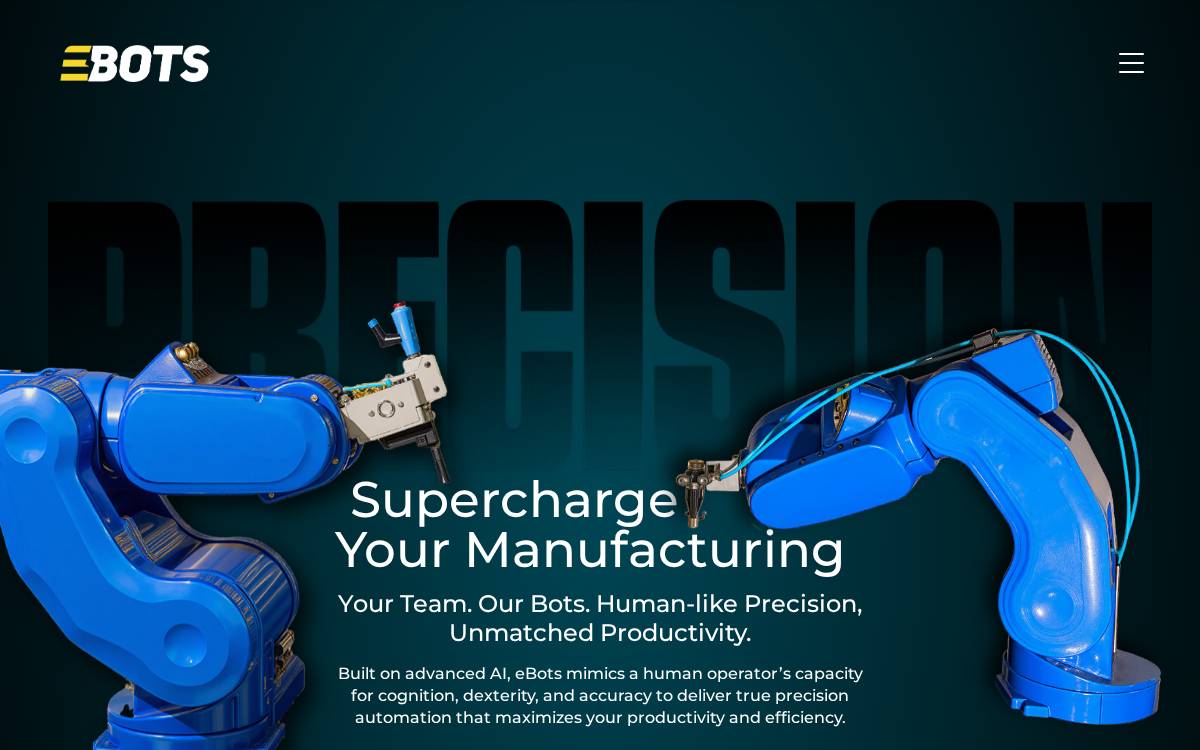EBOTs website preview