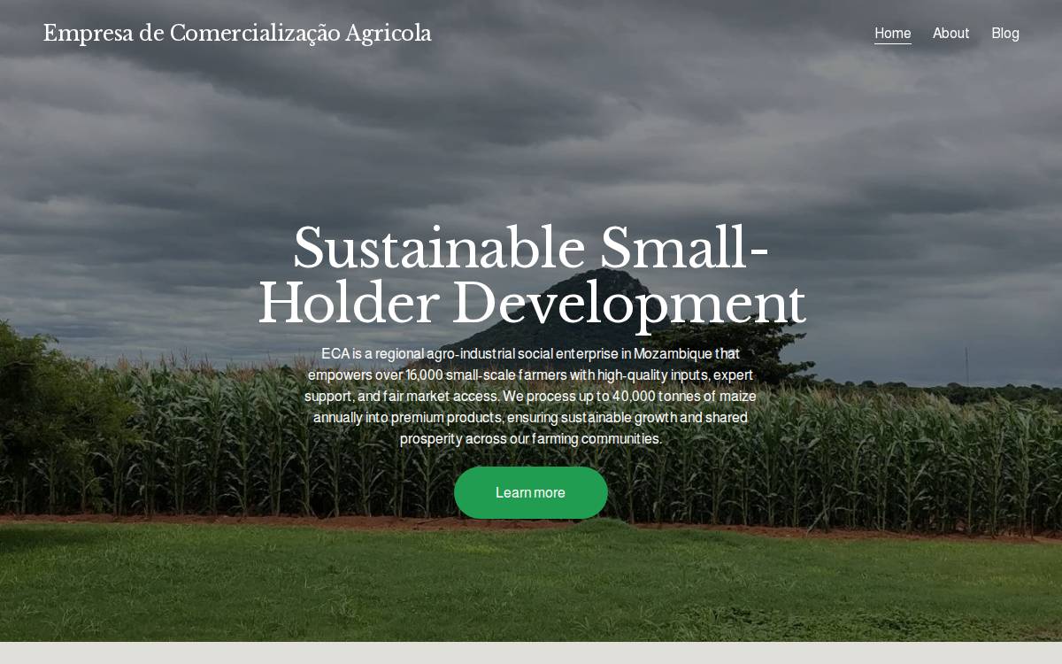 ECA website preview
