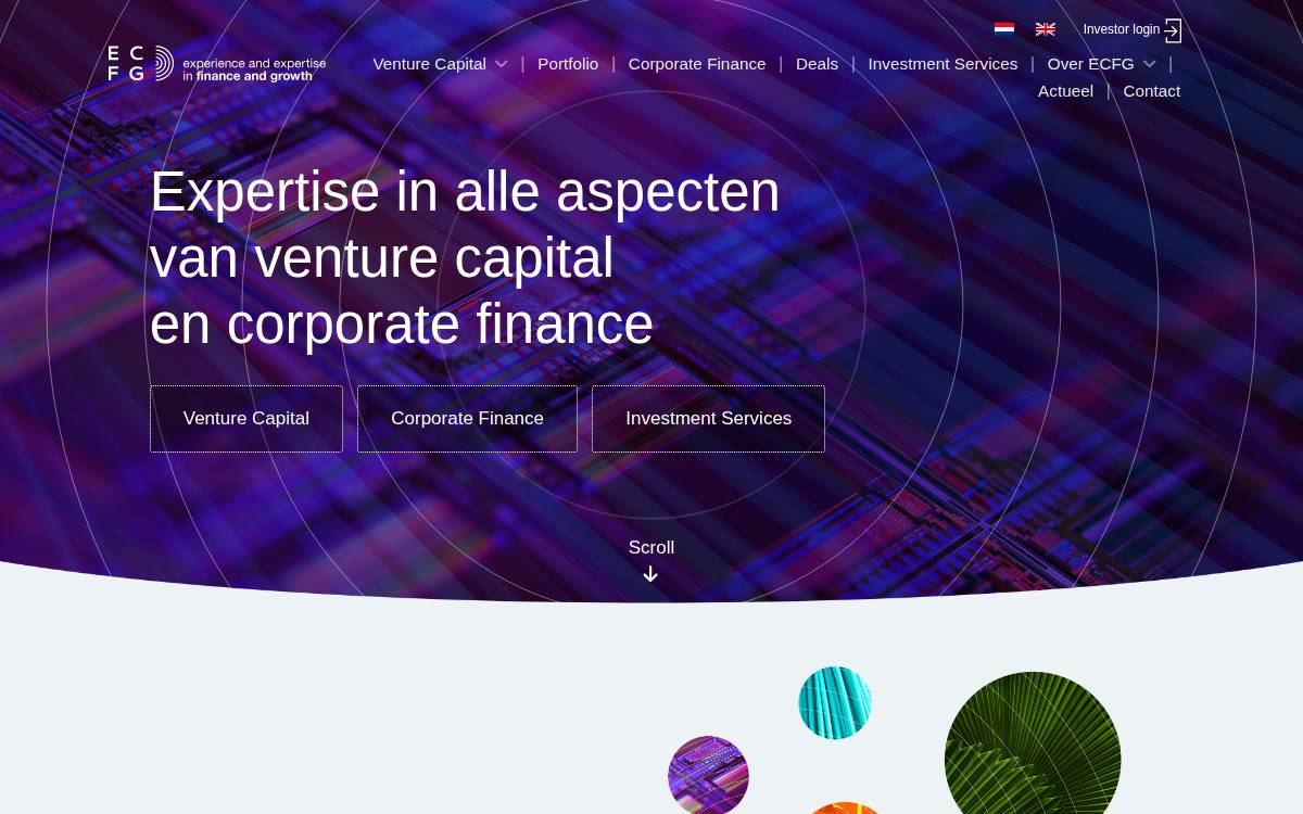 ECFG website preview