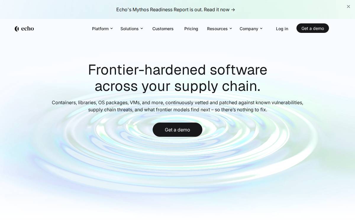 Echo website preview