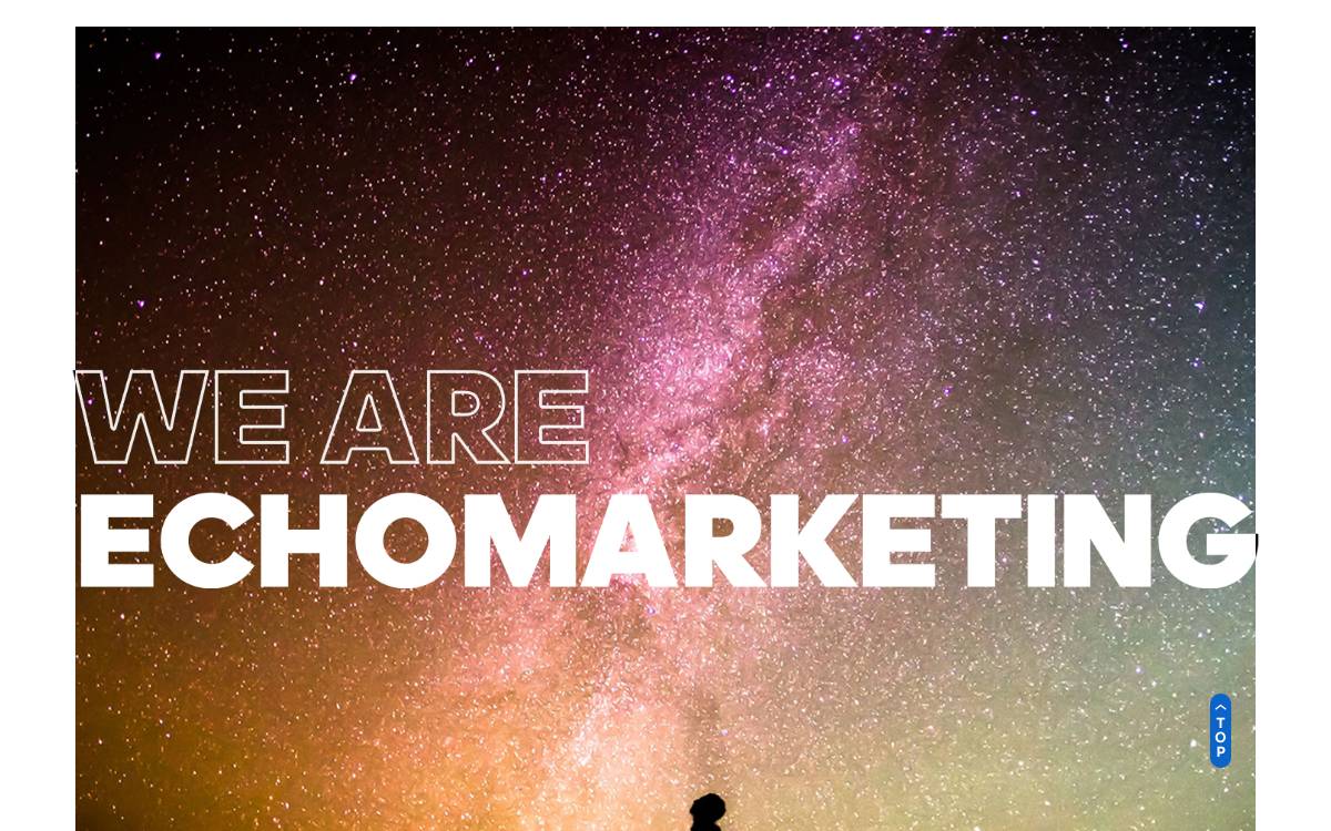 Echomarketing website preview