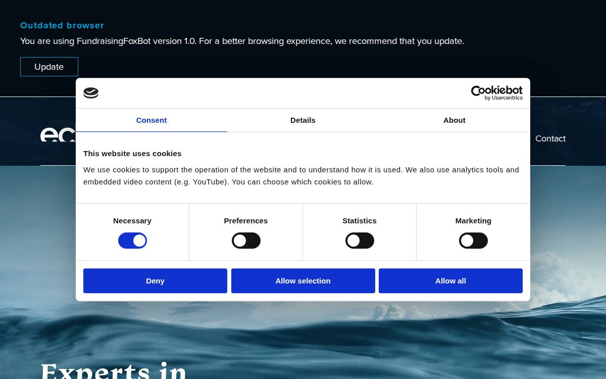 EchoView website preview
