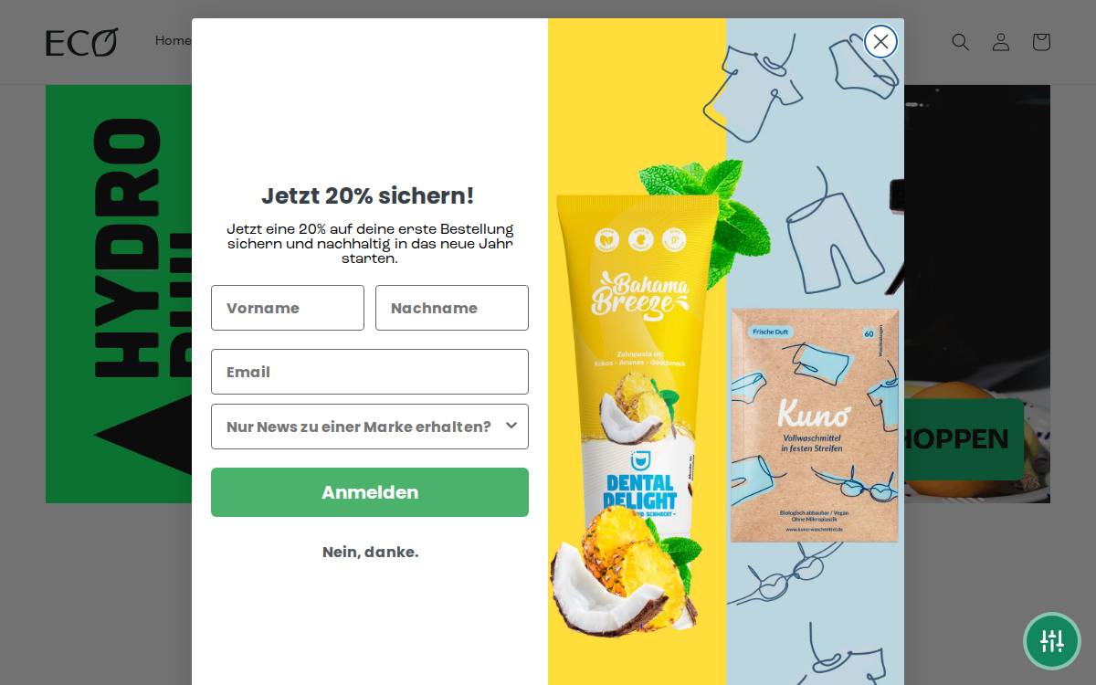 ECO Group website preview