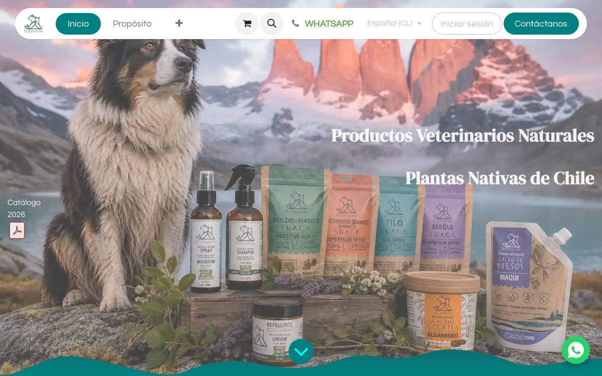 Ecoaustralis website preview