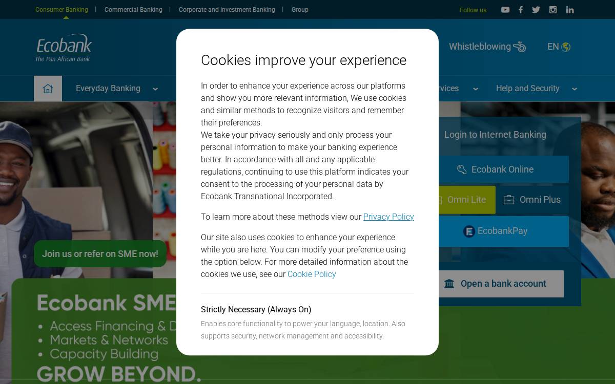 Ecobank website preview