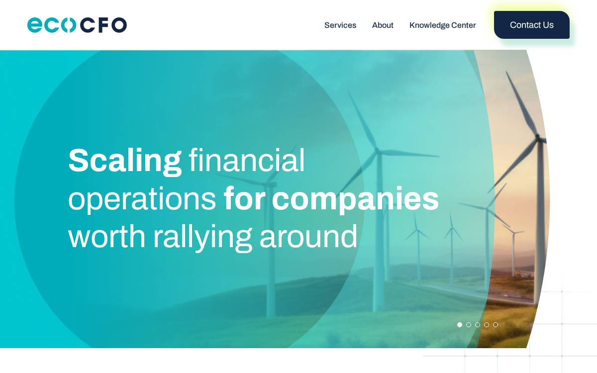 ecoCFO website preview