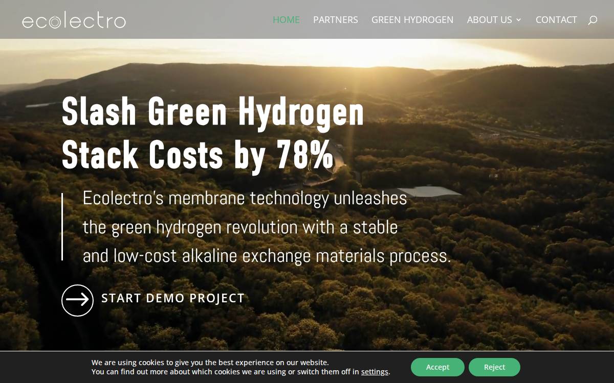 Ecolectro website preview