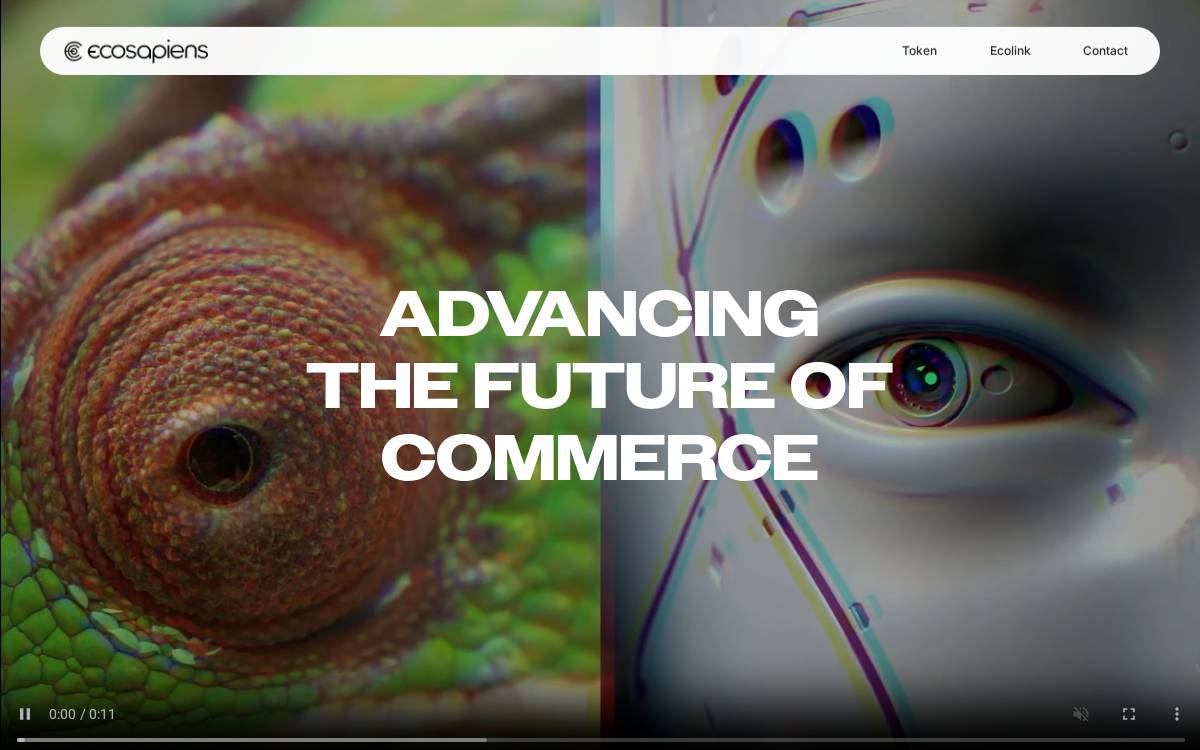 EcoLink Private website preview