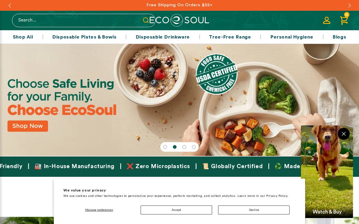 EcoSoul Home Inc. website preview