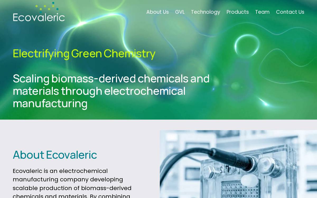 Ecovaleric website preview