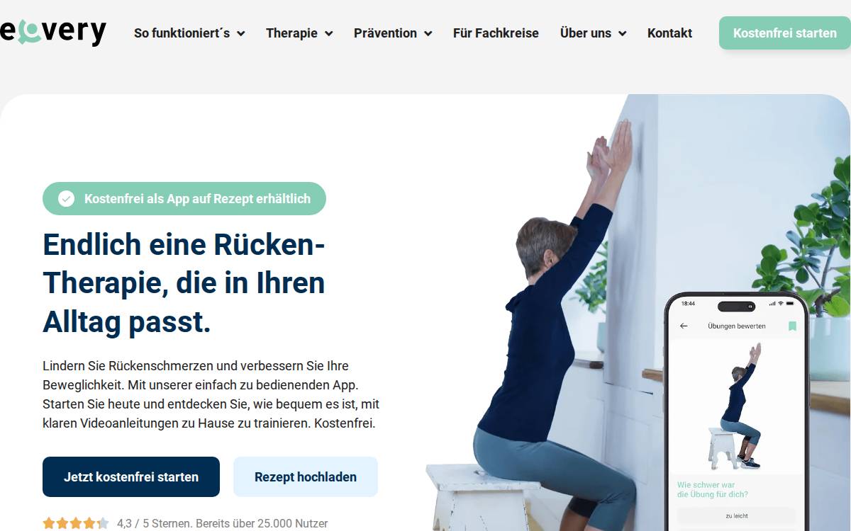 Ecovery website preview