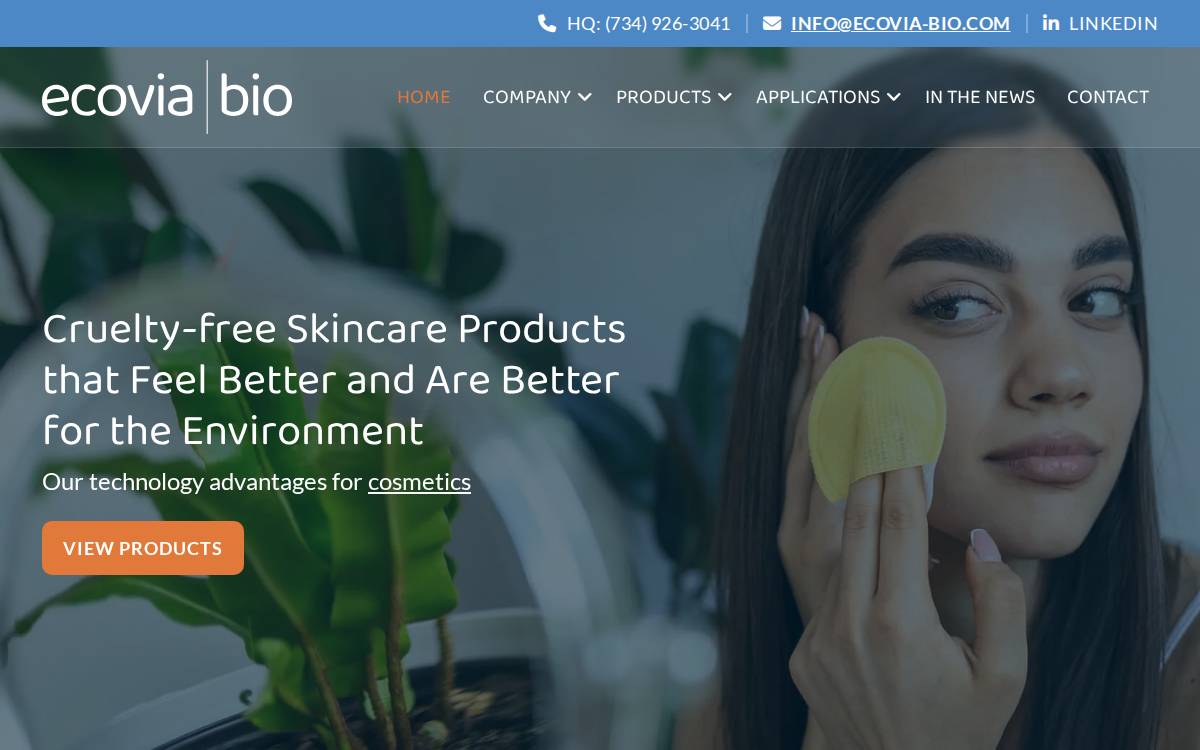 Ecovia Renewables website preview