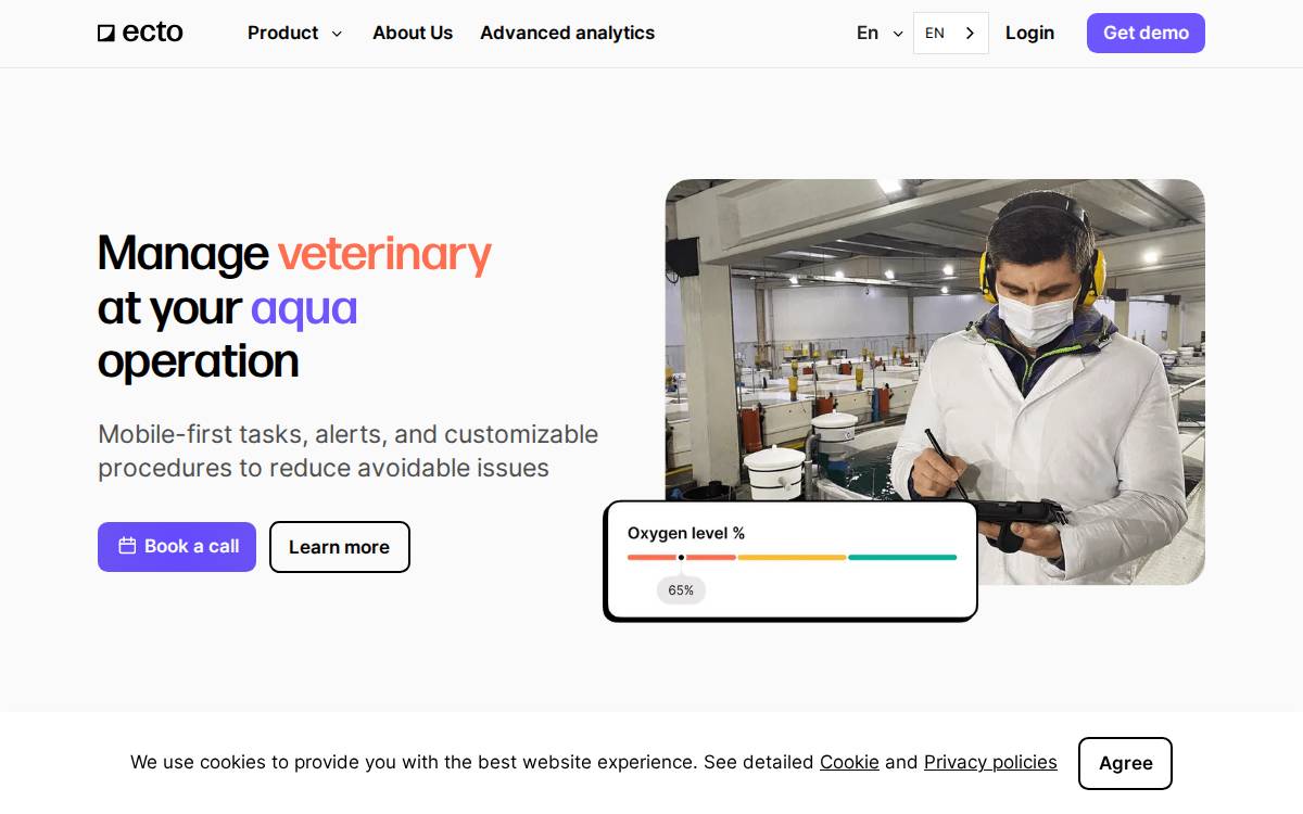 Ecto website preview