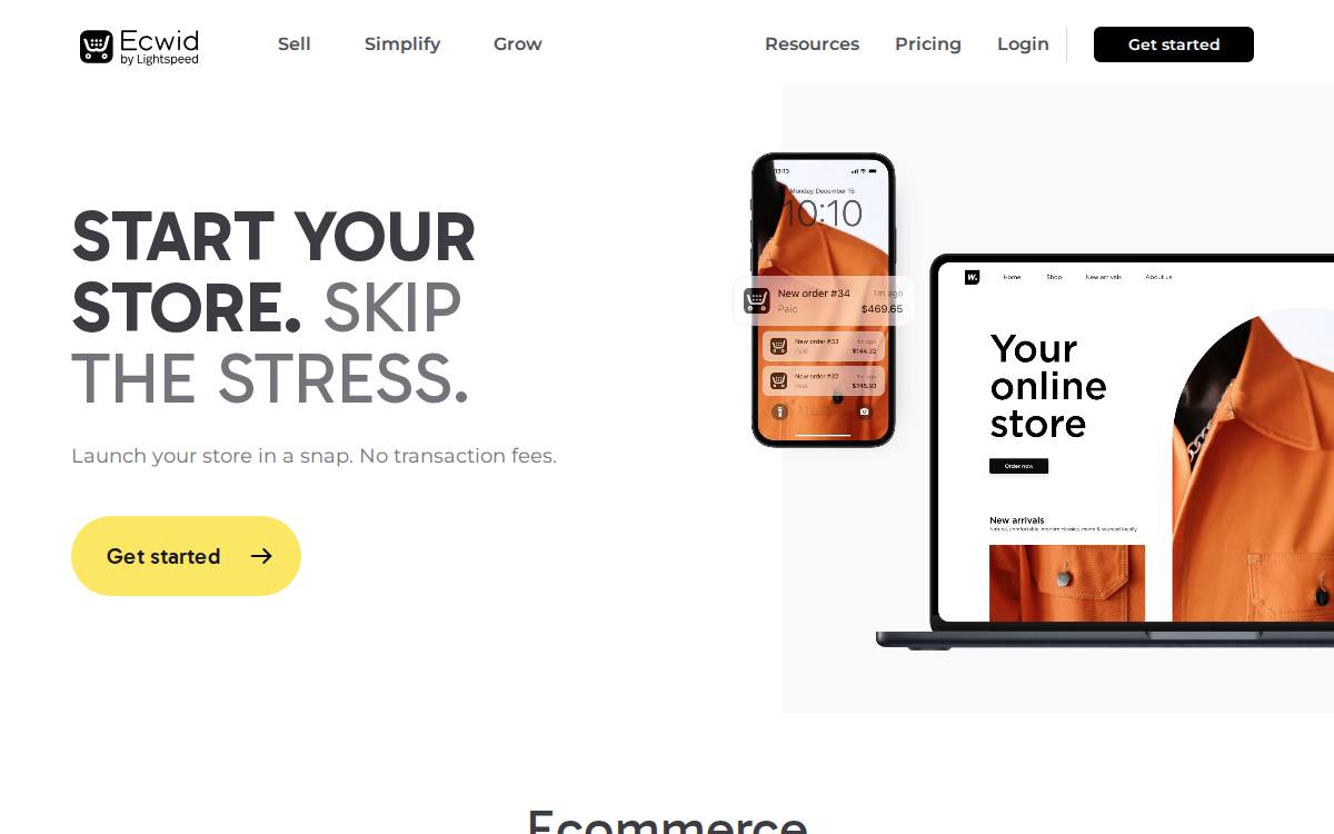 Ecwid website preview
