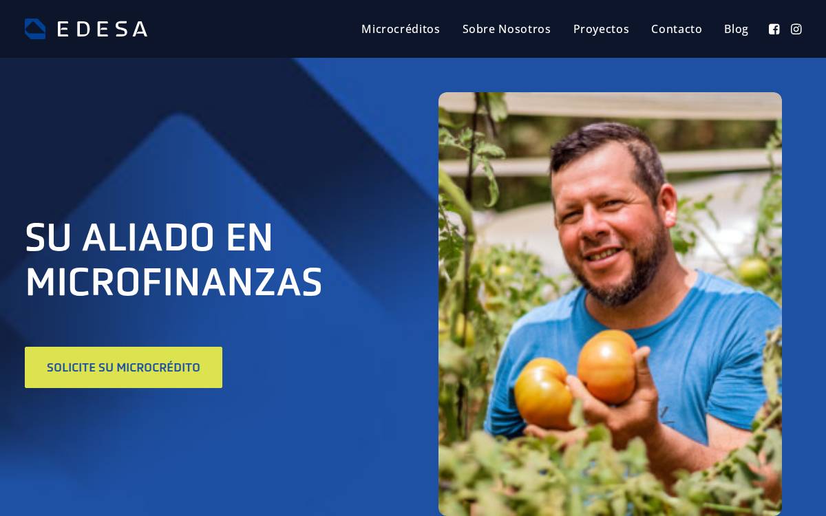 Edesa website preview