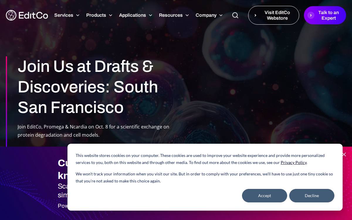 Editco website preview