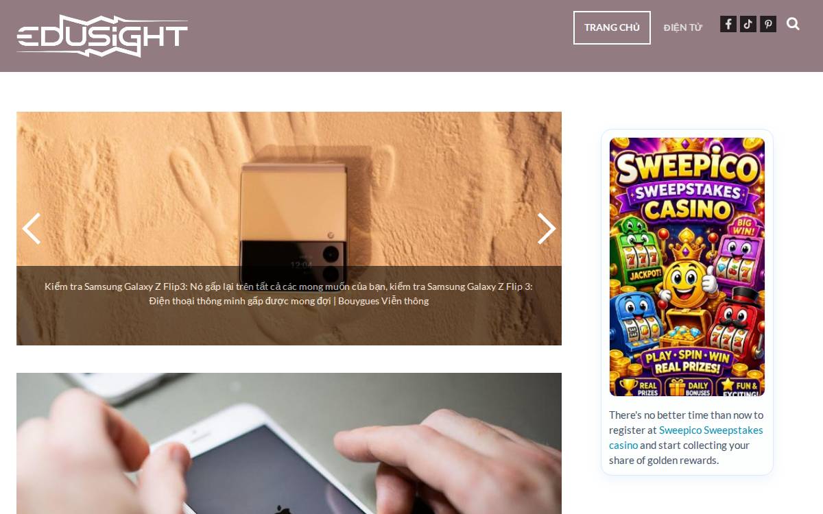 Edusight website preview