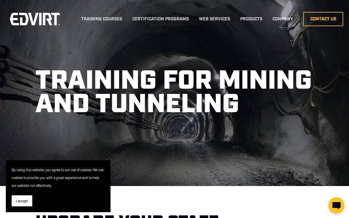 Edvirt website preview