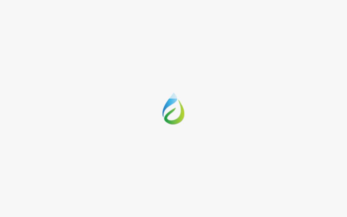 Eeki website preview