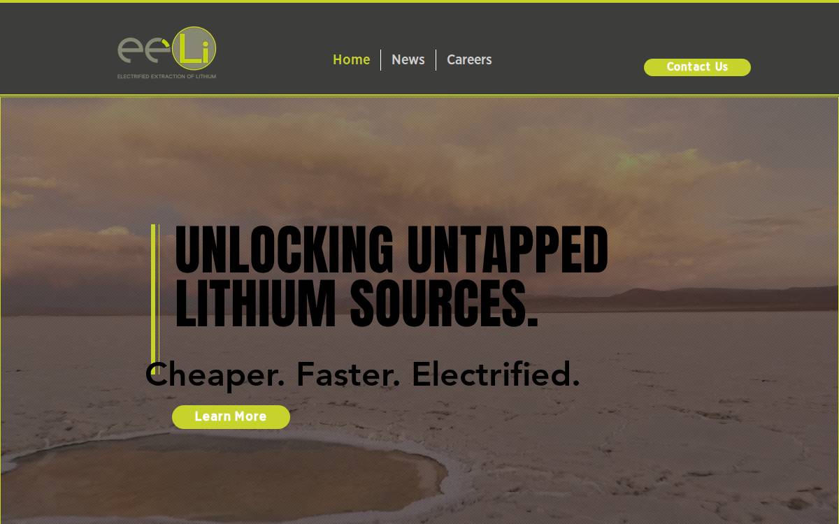 EELi website preview